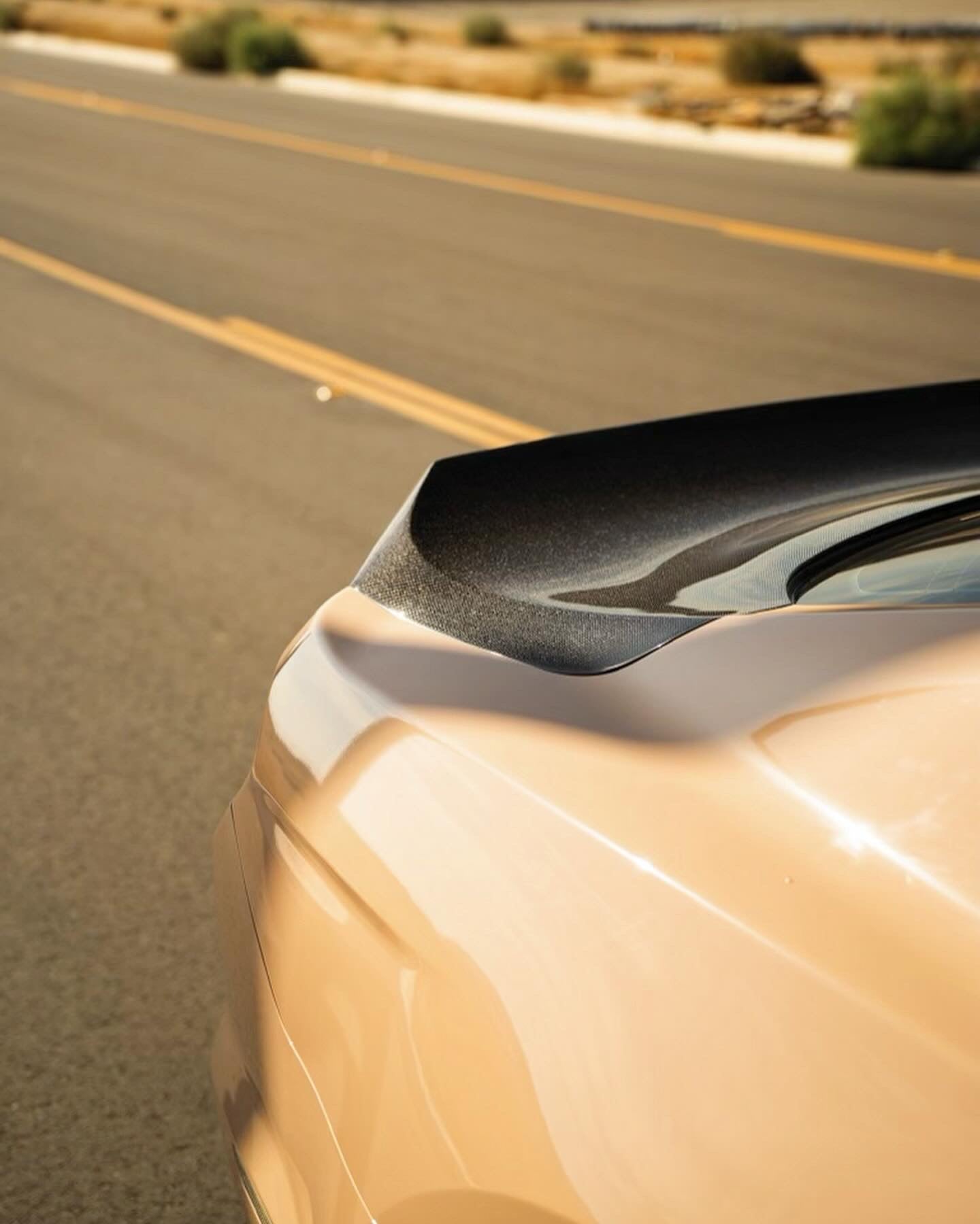 2015-2023 MUSTANG DOUBLE SIDED CARBON FIBER TYPE-ST DECKLID WITH INTEGRATED SPOILER
