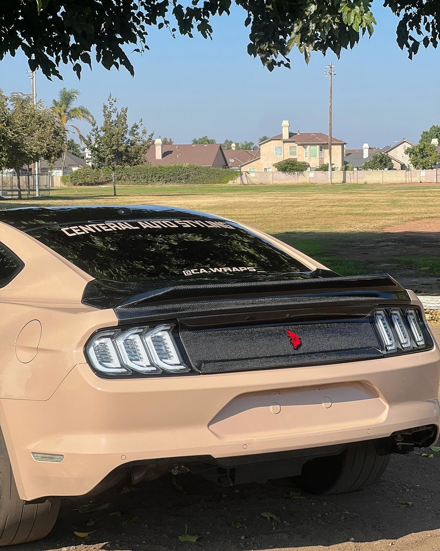 2015-2023 MUSTANG DOUBLE SIDED CARBON FIBER TYPE-ST DECKLID WITH INTEGRATED SPOILER