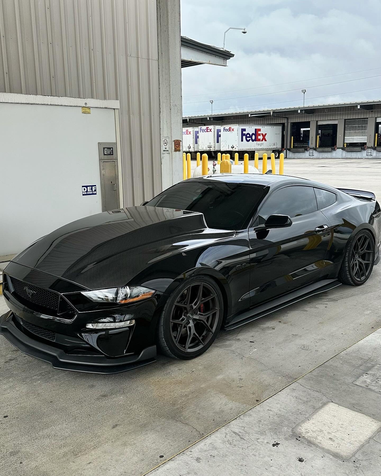 2018-2023 FORD MUSTANG DOUBLE SIDED TYPE-CJ CARBON FIBER COWL HOOD