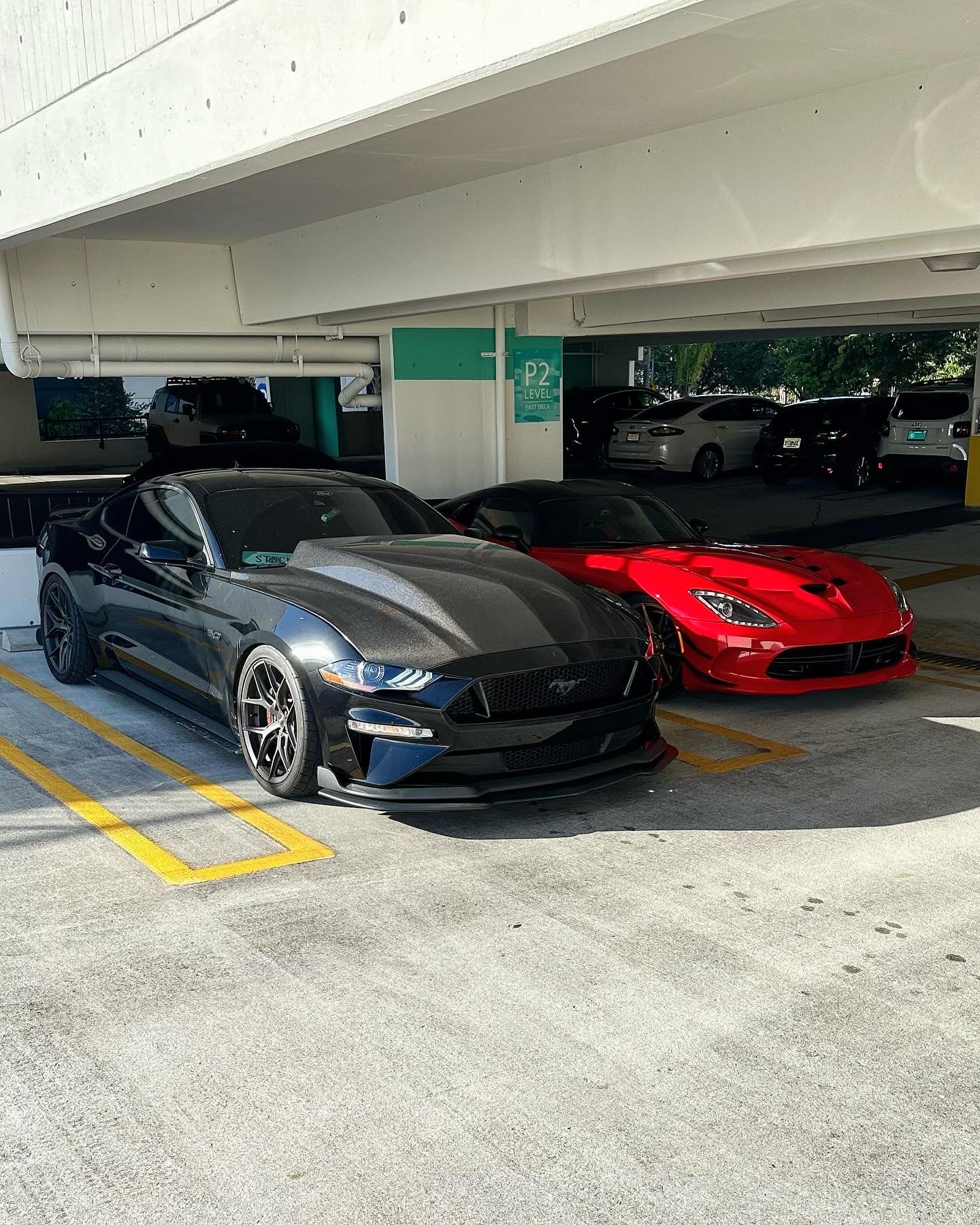 2018-2023 FORD MUSTANG DOUBLE SIDED TYPE-CJ CARBON FIBER COWL HOOD