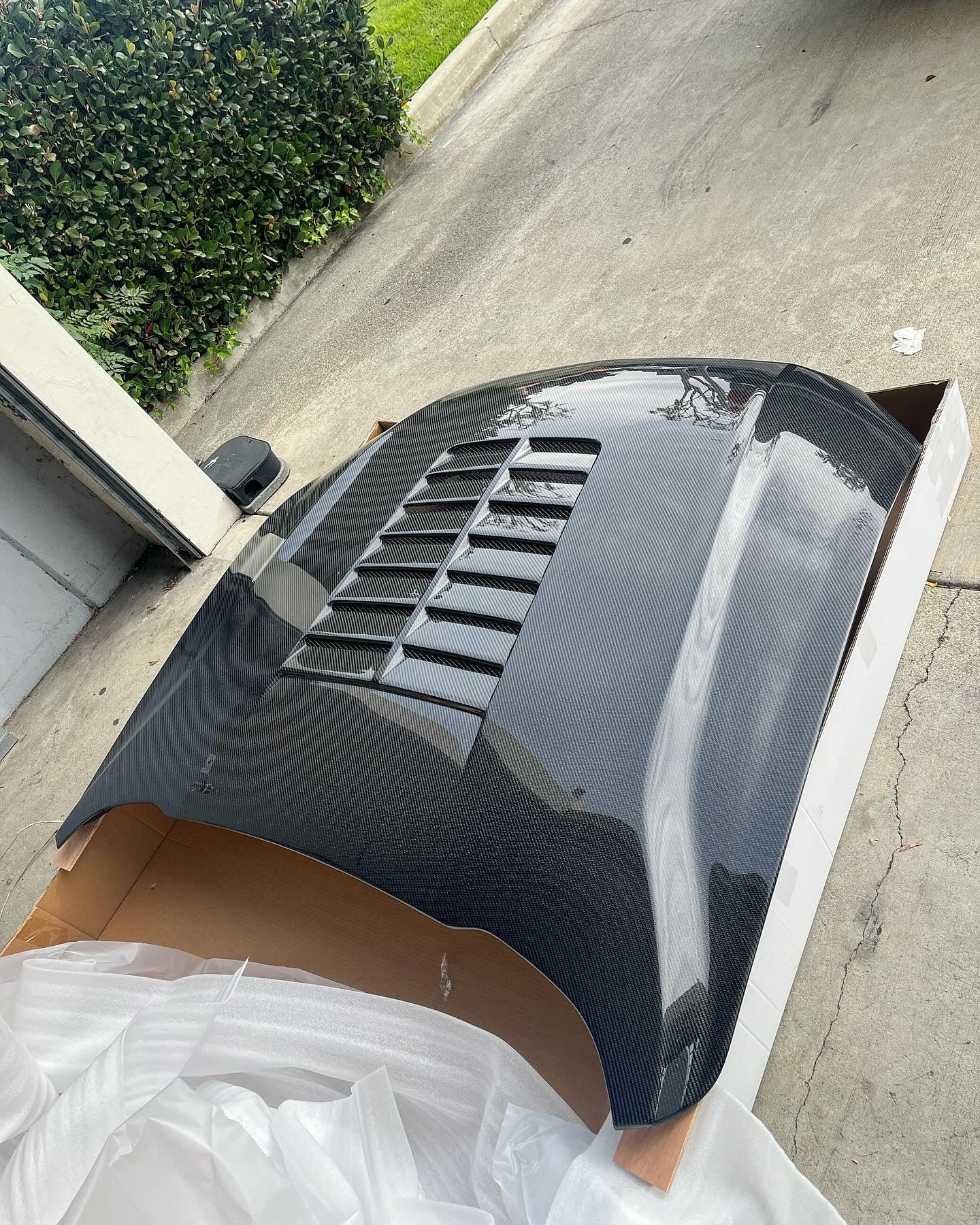Anderson Composites 2018-2023 FORD MUSTANG DOUBLE SIDED TYPE-GT5 CARBON FIBER HOOD