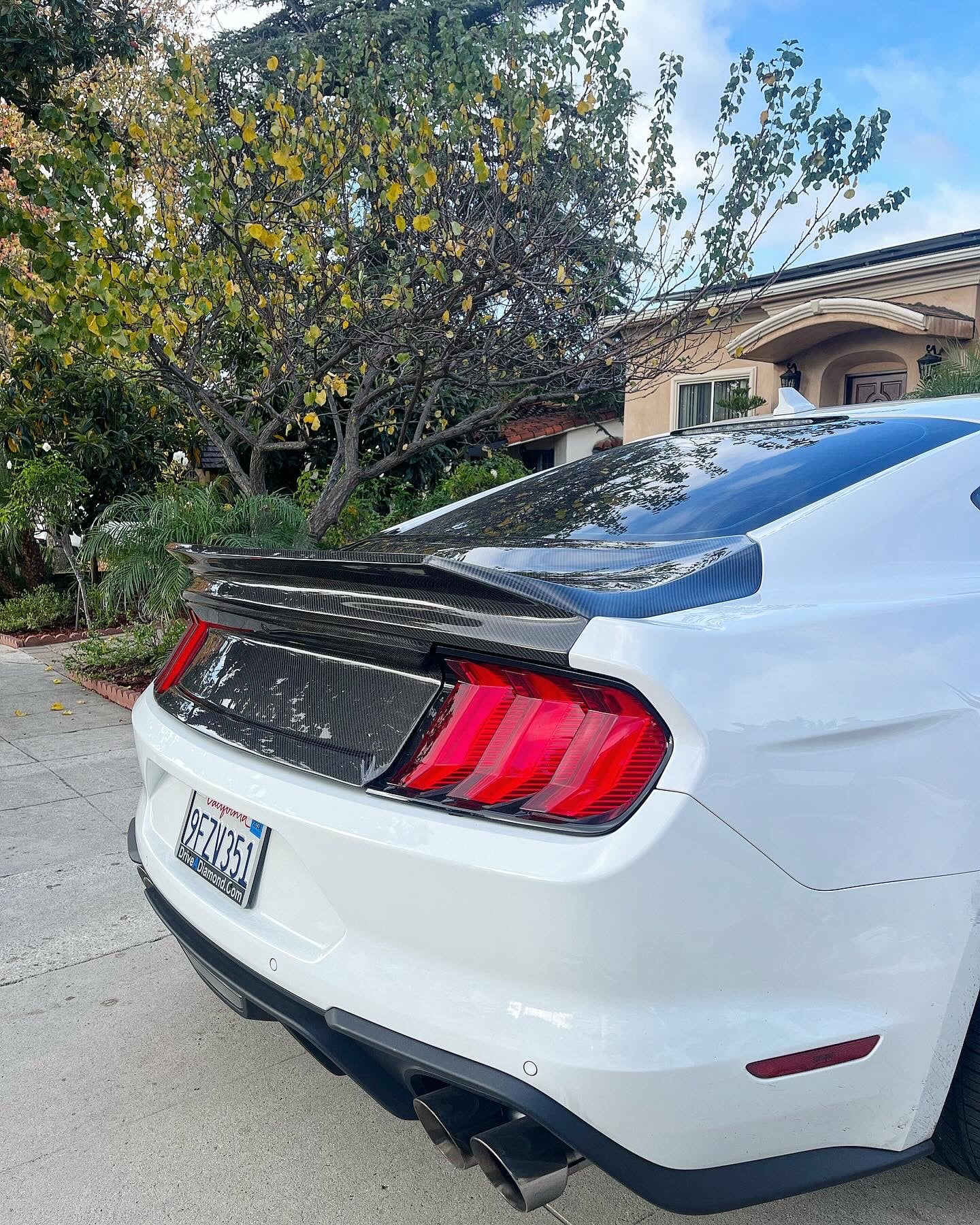 2015-2023 MUSTANG DOUBLE SIDED CARBON FIBER TYPE-ST DECKLID WITH INTEGRATED SPOILER