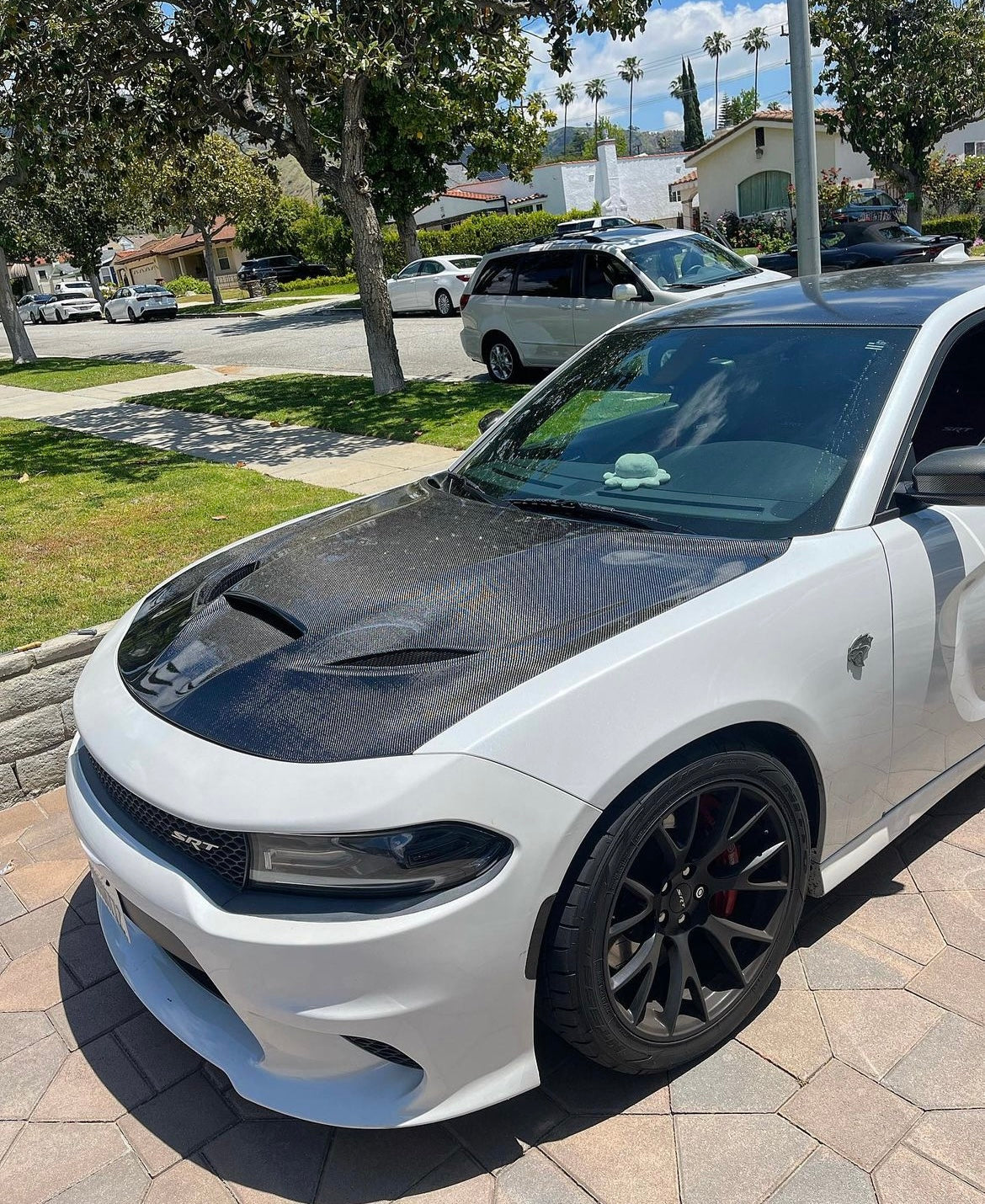 2015 - 2023 DODGE CHARGER HELLCAT TYPE-OE CARBON FIBER HOOD