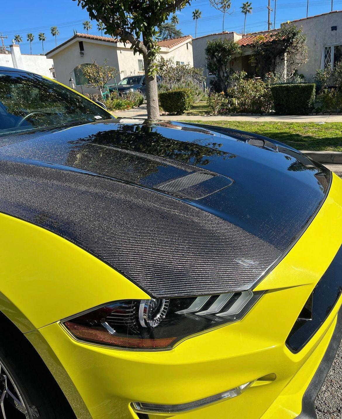 2018-2023 FORD MUSTANG TYPE-OE DOUBLE SIDED CARBON FIBER HOOD