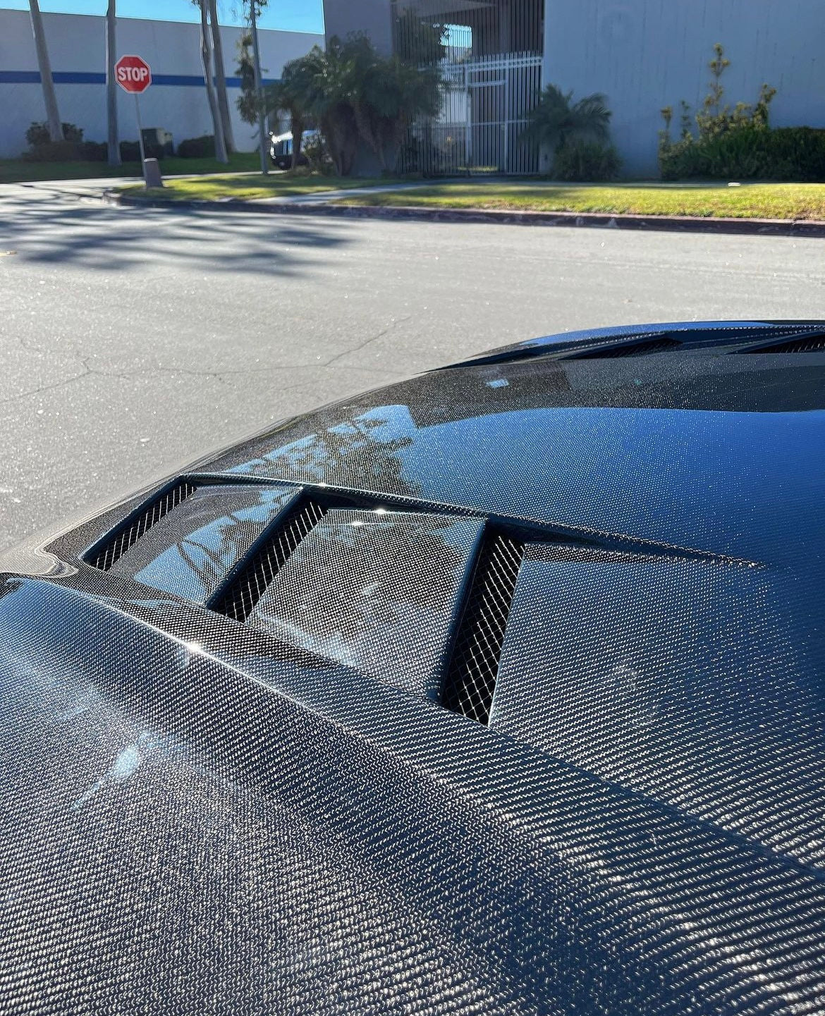 2018-2023 FORD MUSTANG TYPE-SA DOUBLE SIDED CARBON FIBER HEAT EXTRACTOR HOOD