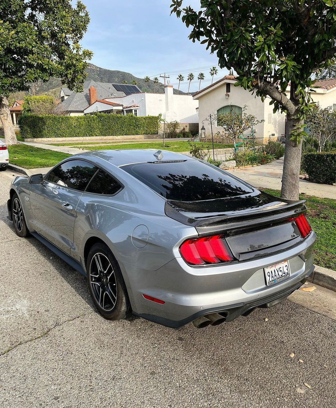 2015-2023 MUSTANG DOUBLE SIDED CARBON FIBER TYPE-ST DECKLID WITH INTEGRATED SPOILER