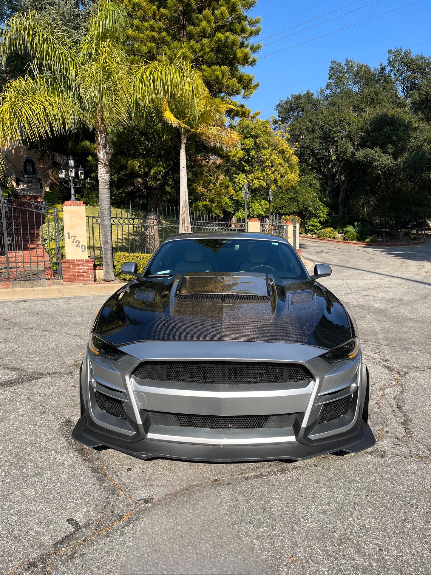 Anderson Composites 2018-2023 FORD MUSTANG RAM AIR DOUBLE SIDED CARBON FIBER HOOD