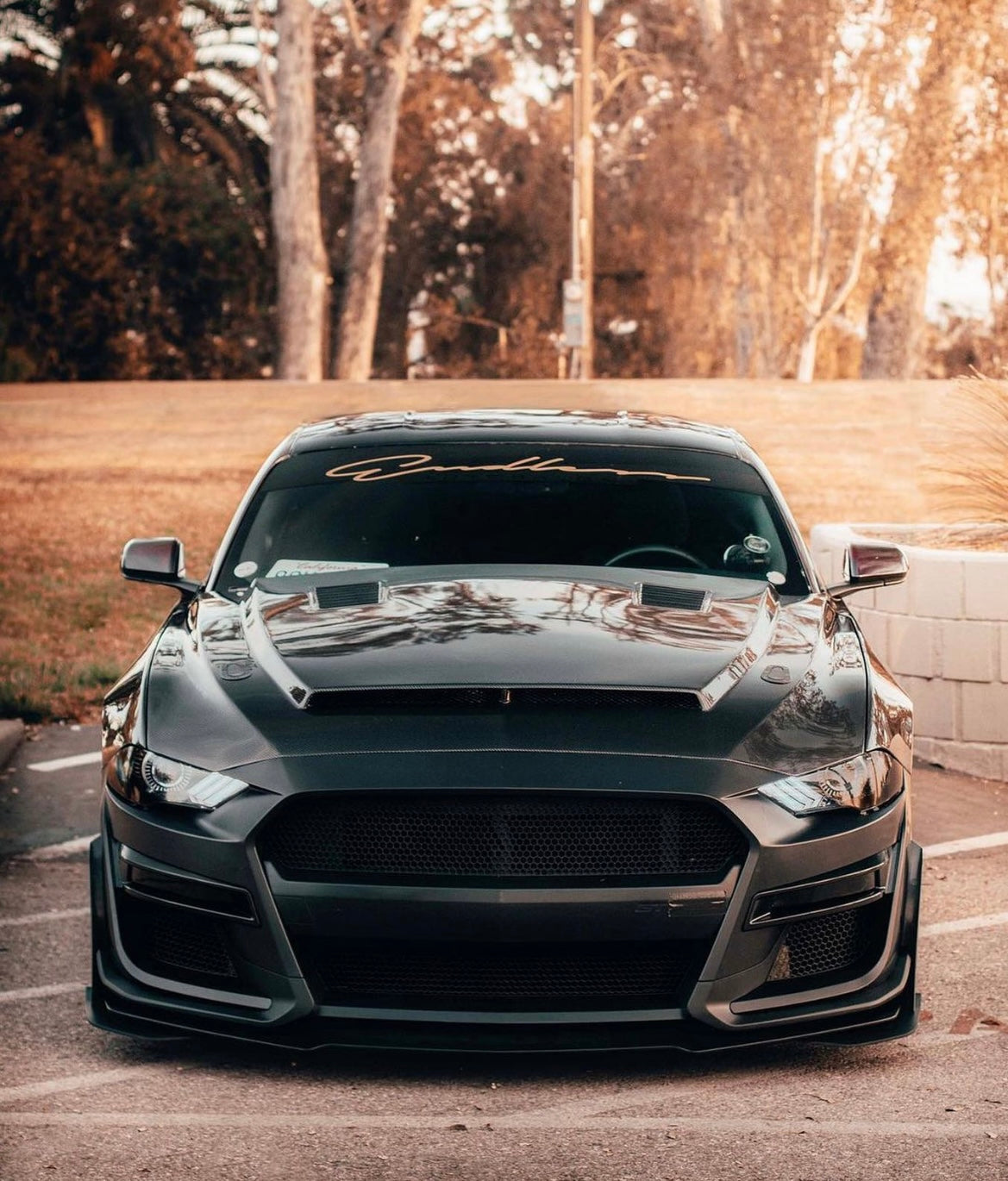 2018-2023 FORD MUSTANG SUPER SNAKE STYLE DOUBLE SIDED CARBON FIBER HOOD