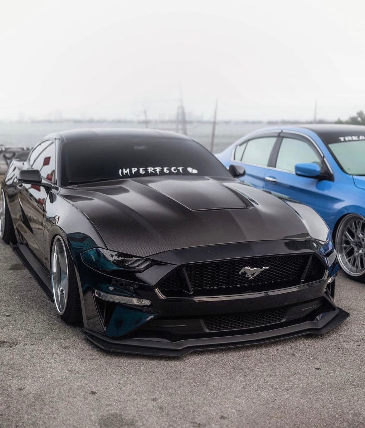 Anderson Composites 2018-2023 FORD MUSTANG TYPE-GR DOUBLE SIDED CARBON FIBER HOOD