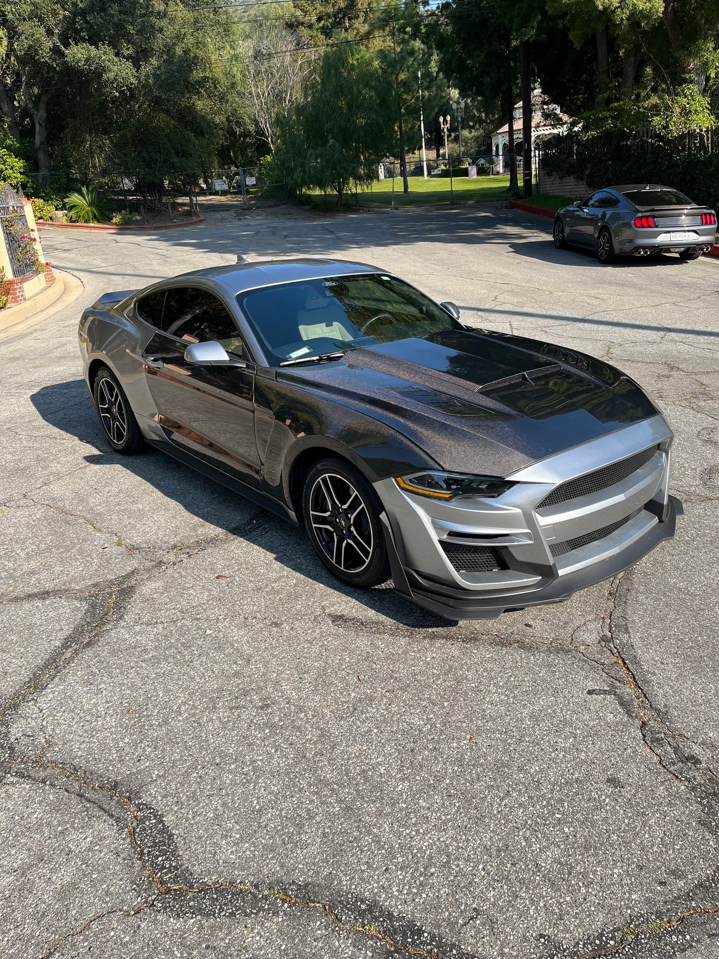Anderson Composites 2018-2023 FORD MUSTANG RAM AIR DOUBLE SIDED CARBON FIBER HOOD