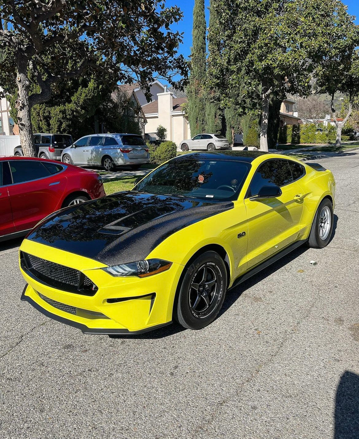 2018-2023 FORD MUSTANG TYPE-OE DOUBLE SIDED CARBON FIBER HOOD