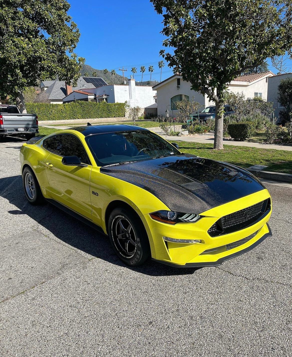 2018-2023 FORD MUSTANG TYPE-OE DOUBLE SIDED CARBON FIBER HOOD