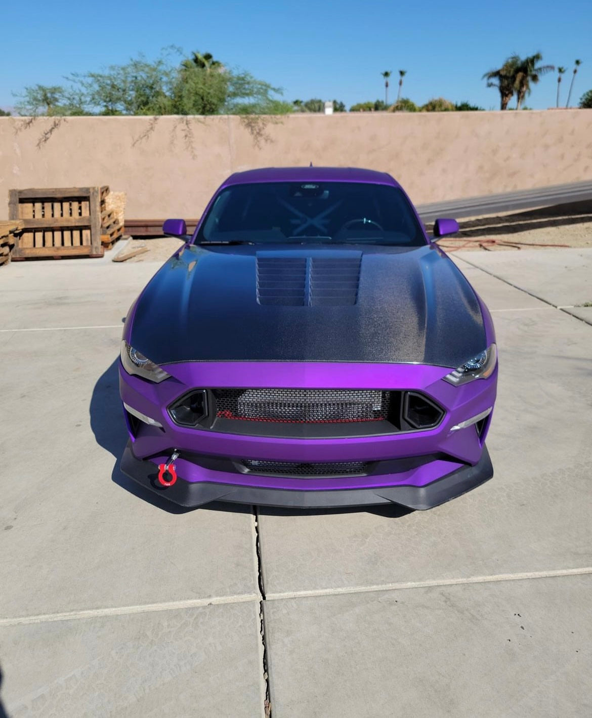 Anderson Composites 2018-2023 FORD MUSTANG DOUBLE SIDED TYPE-GT5 CARBON FIBER HOOD