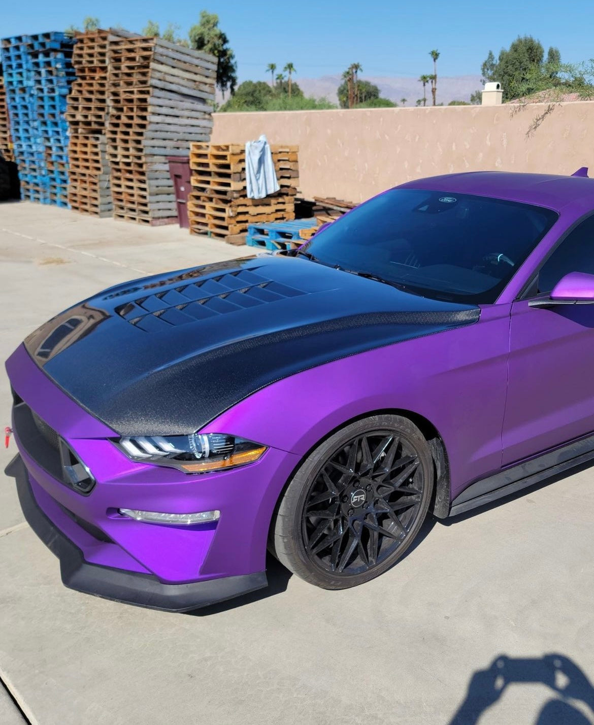 Anderson Composites 2018-2023 FORD MUSTANG DOUBLE SIDED TYPE-GT5 CARBON FIBER HOOD