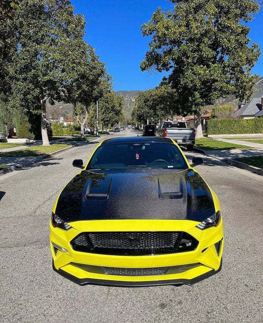 2018-2023 FORD MUSTANG TYPE-OE DOUBLE SIDED CARBON FIBER HOOD